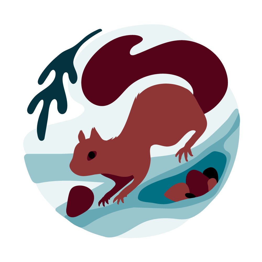 The squirrel is a symbol of fundraising.