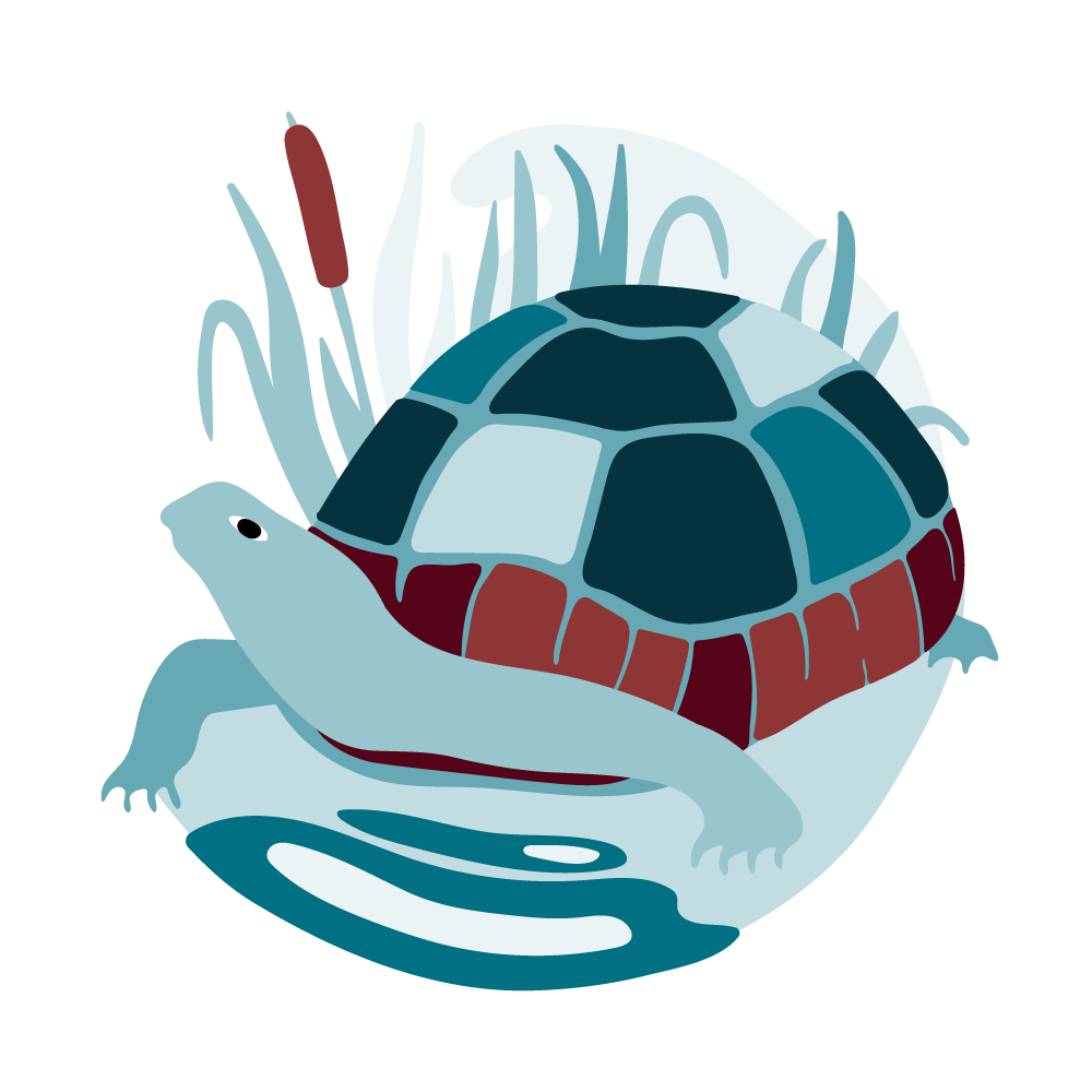 The tortoise is a symbol of personal growth.