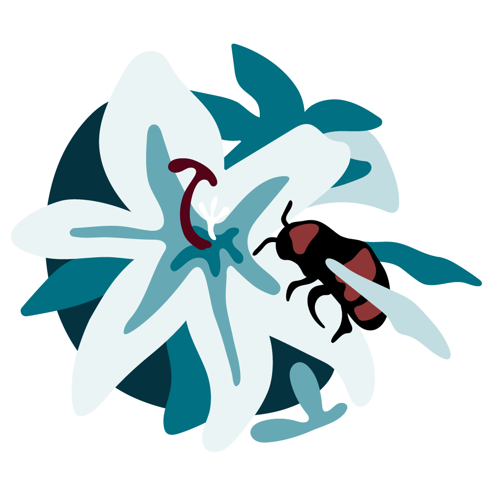 Explore Topics: Impact (Bee)