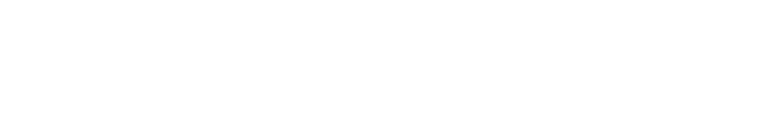 The Organizer Logo - White