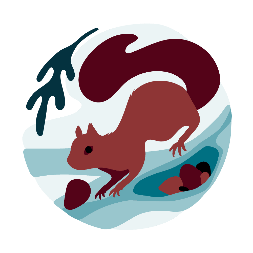 The squirrel is a symbol of fundraising.