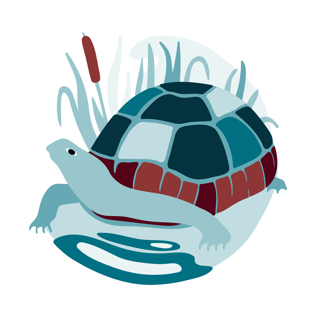 The tortoise is a symbol of personal growth.